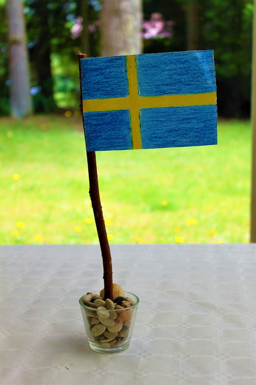 the swedish flag, sweden's flag, midsummer summer vacation, maypole, swedish flag, graduation, student cap, national day, coffee, sweden's national day, summer meadow, blomstertid, the national day, sweden, swedish flag, swedish flag, swedish flag, swedish flag, swedish flag